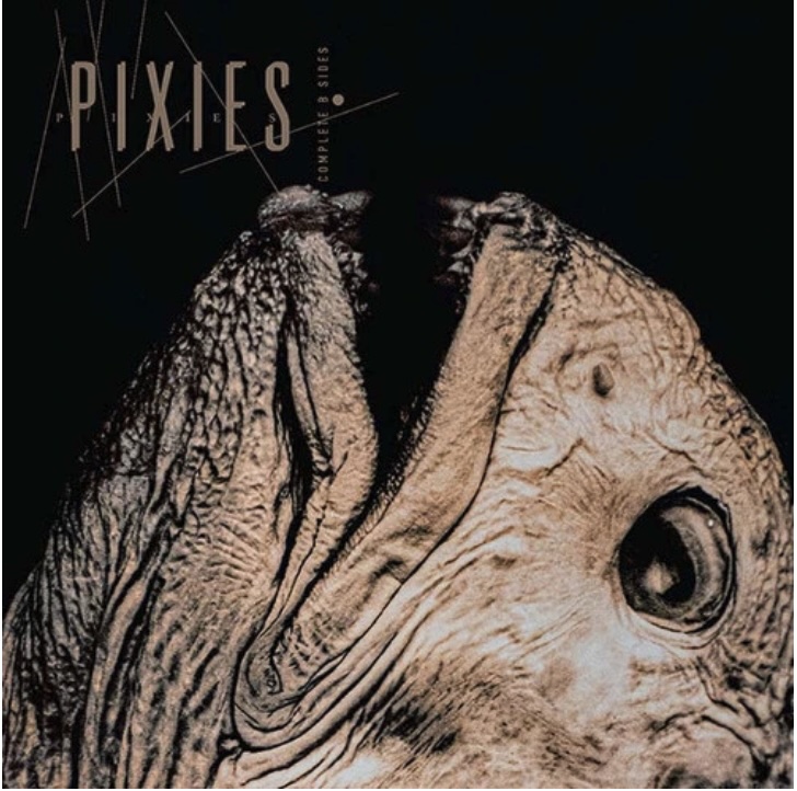 Pixies Complete B Sides 2LP