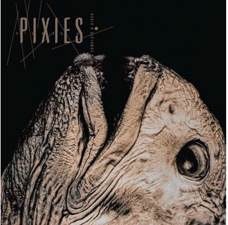 Pixies Complete B Sides Indie Exclusive 2 LP (Clear Vinyl)