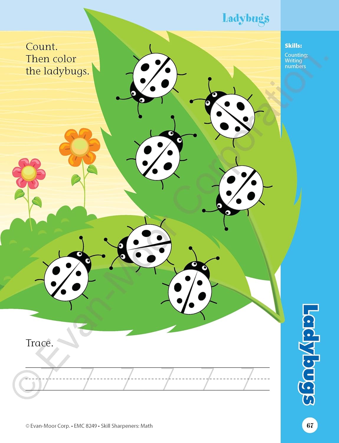 Evan - Moor Skill Sharpeners Math Workbook, PreK, Addition, Subtraction, Numbers, Identifying Geometric Shapes, Word Problems, Place Value, Tell Time, Patterning, Measuring, Fun Activities, Homeschool