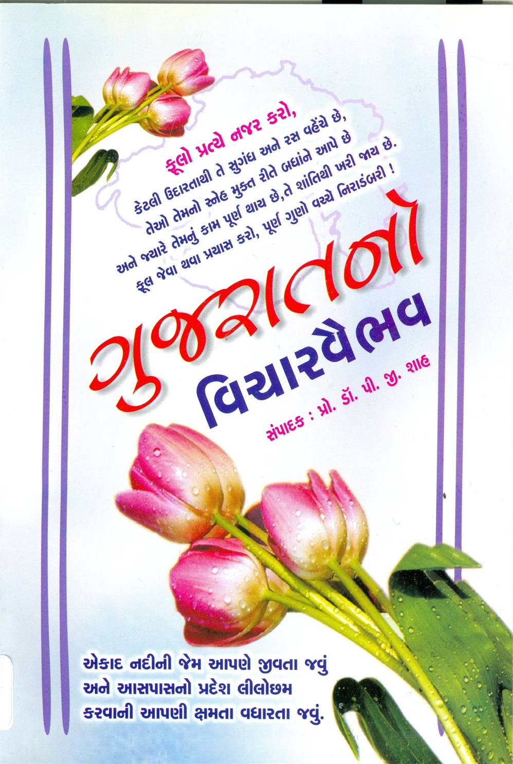 Gujaratno Vicharvaibhav (ગુજરાતનો વિચારવૈભવ)