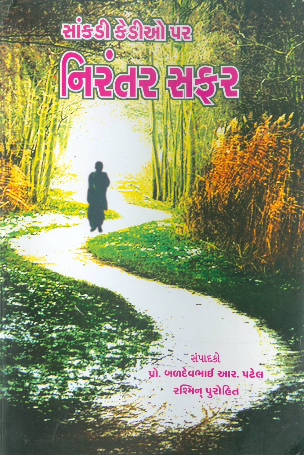 Sankadi Kedio Par Nirantar Safar (સાંકડી કેડીઓ પર નિરંતર સફર)