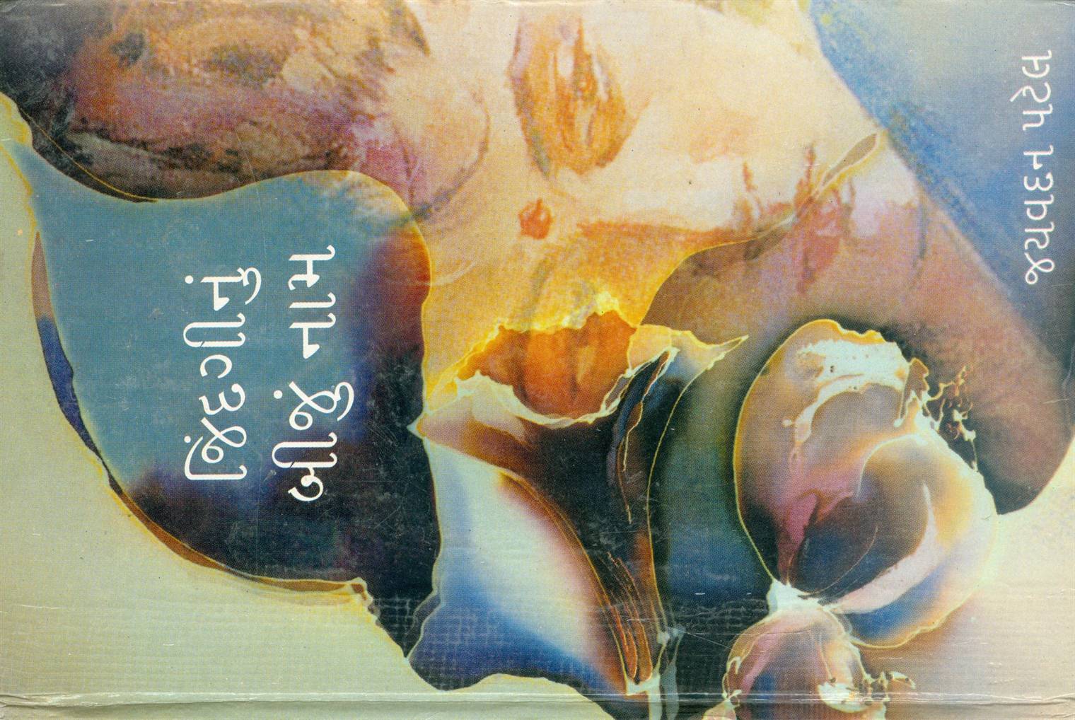 Jindginun Bijun Naam (જિંદગીનું બીજું નામ)