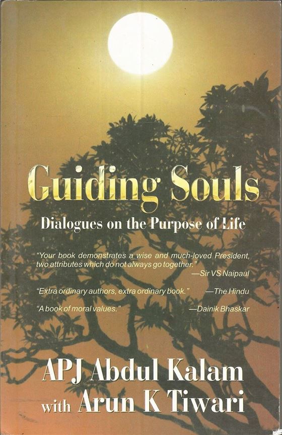 Guiding Souls - Dialogues On The Purpose Of Life