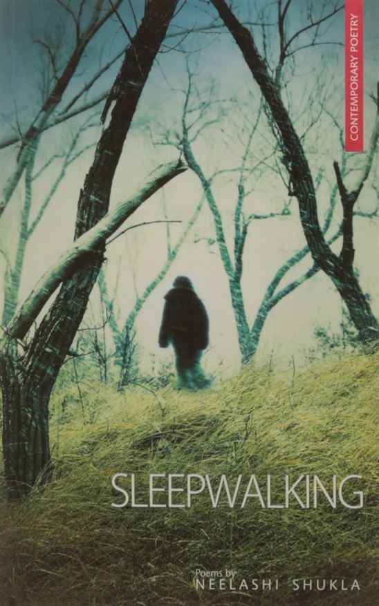 Sleepwalking