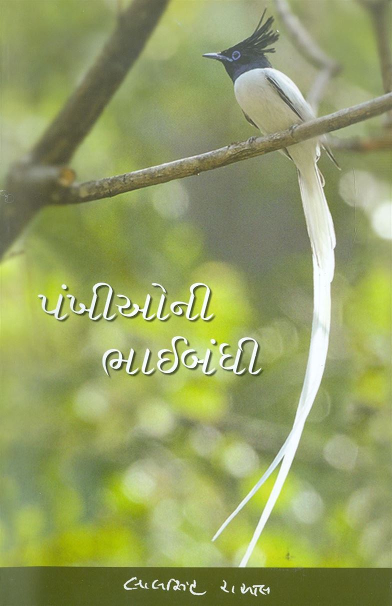 Pankhioni Bhaibandhi (પંખીઓની ભાઈબંધી)