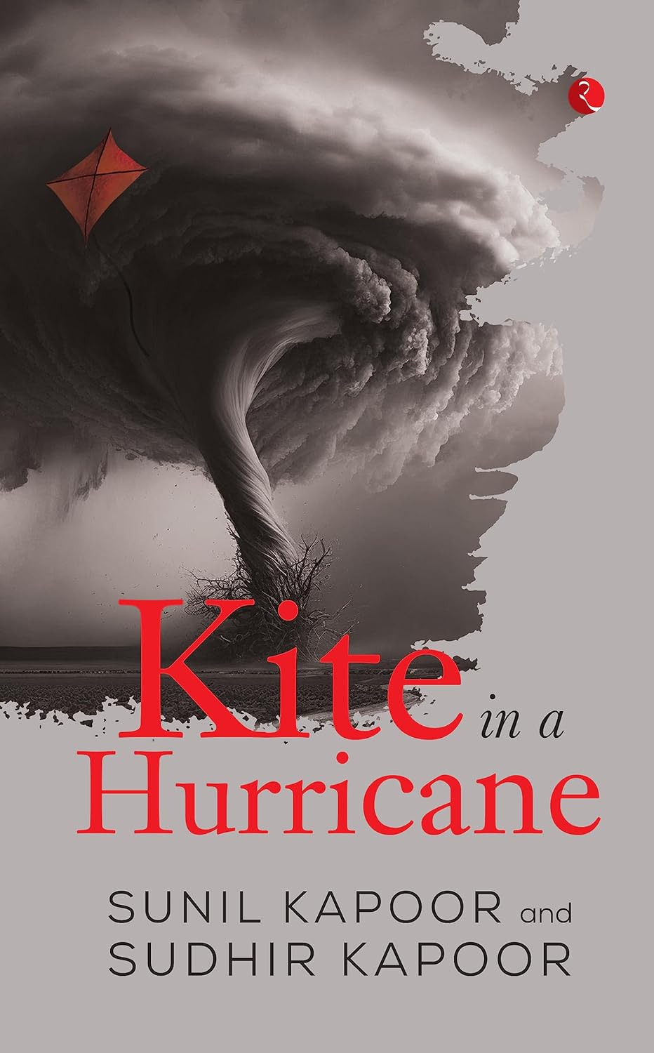 Kite In A Hurricane