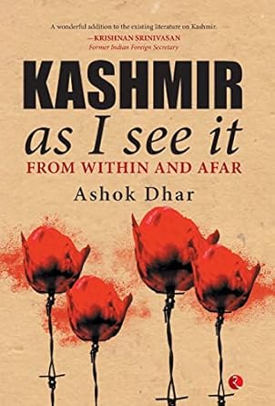 Kashmir As I See It
